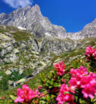 For free landscapes in the lower Valtellina. 5 ideas to walk. For free landscapes in the lower Valtellina. 5 ideas to walk.