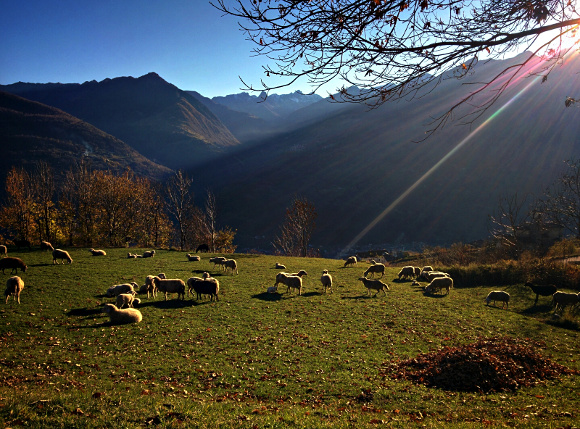 San Bernardo di Civo