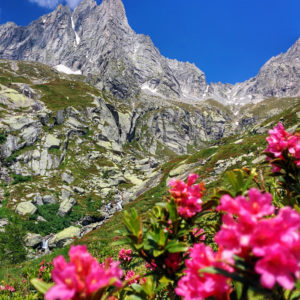 Hike Rifugio Allievi