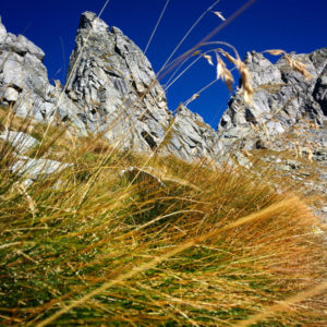 Hike to Passo dell’Oro - Valle dell’Oro