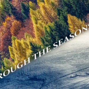 Through the seasons, Como Lake and Valtellina - Video