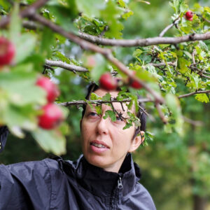 Wild harvest in September in the frizzer