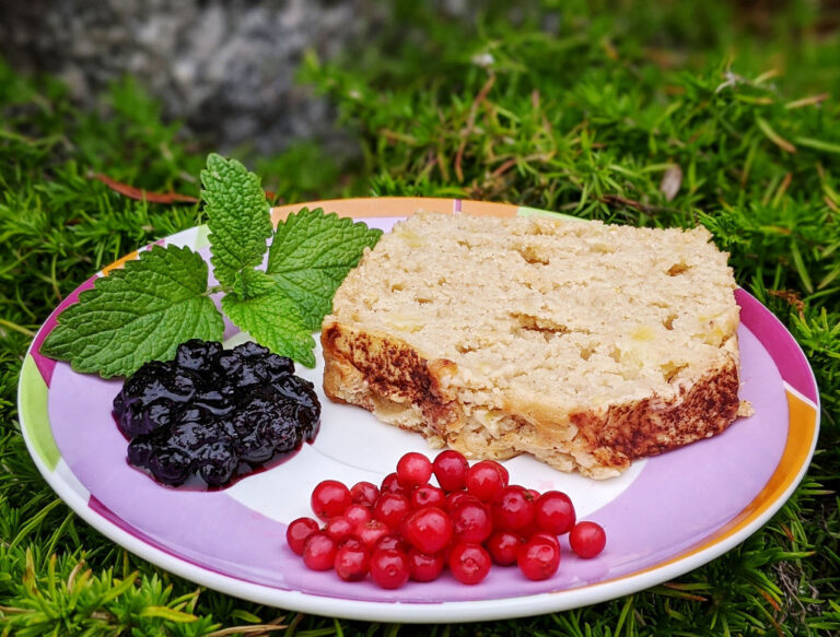 Vegan apple plum cake