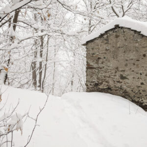 Snow - Costiera dei Cech, Valtellina 2020