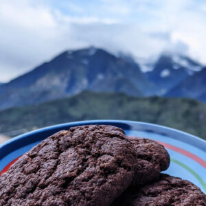 Vegan chocolate cookies