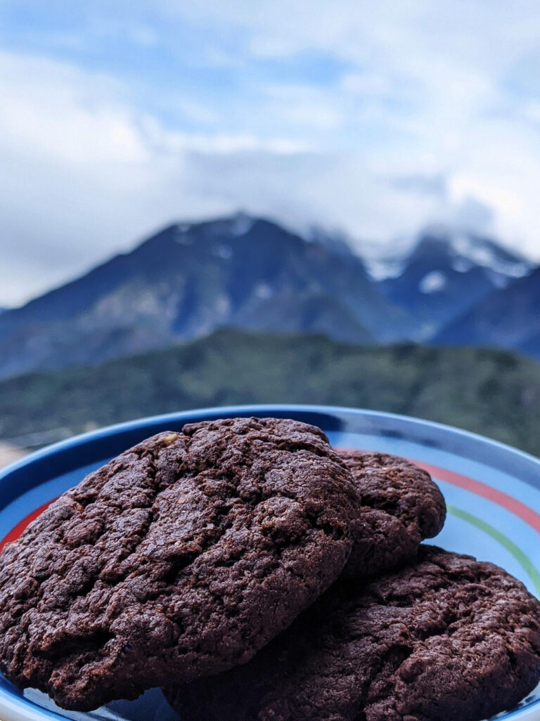 Vegan chocolate cookies