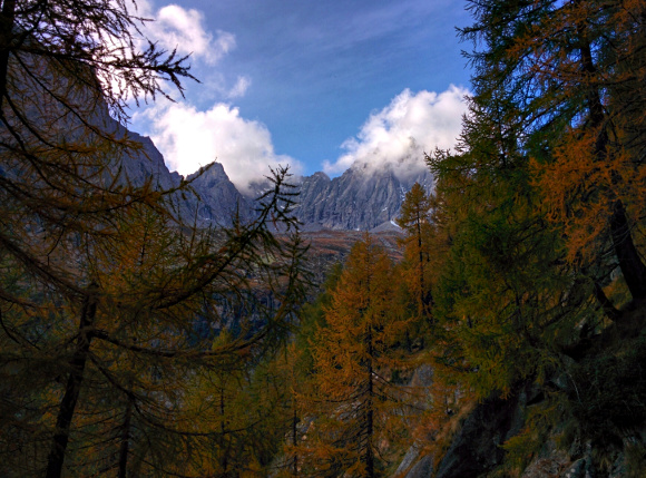 Autunno tra boschi e asini Val Masino