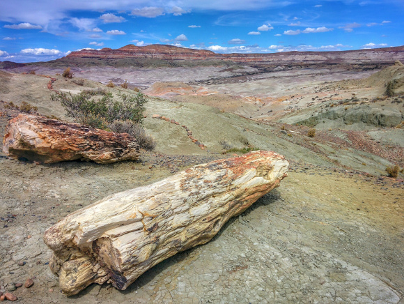 Bosque Petrificado a Sarmiento - Chubut, Patagonia