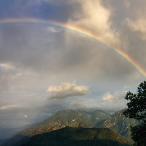 Mirtilli, lamponi e more, l’estate in montagna in 5 fotografie.