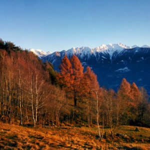 Val Tartano dalla Costiera dei Cech inverno 2019