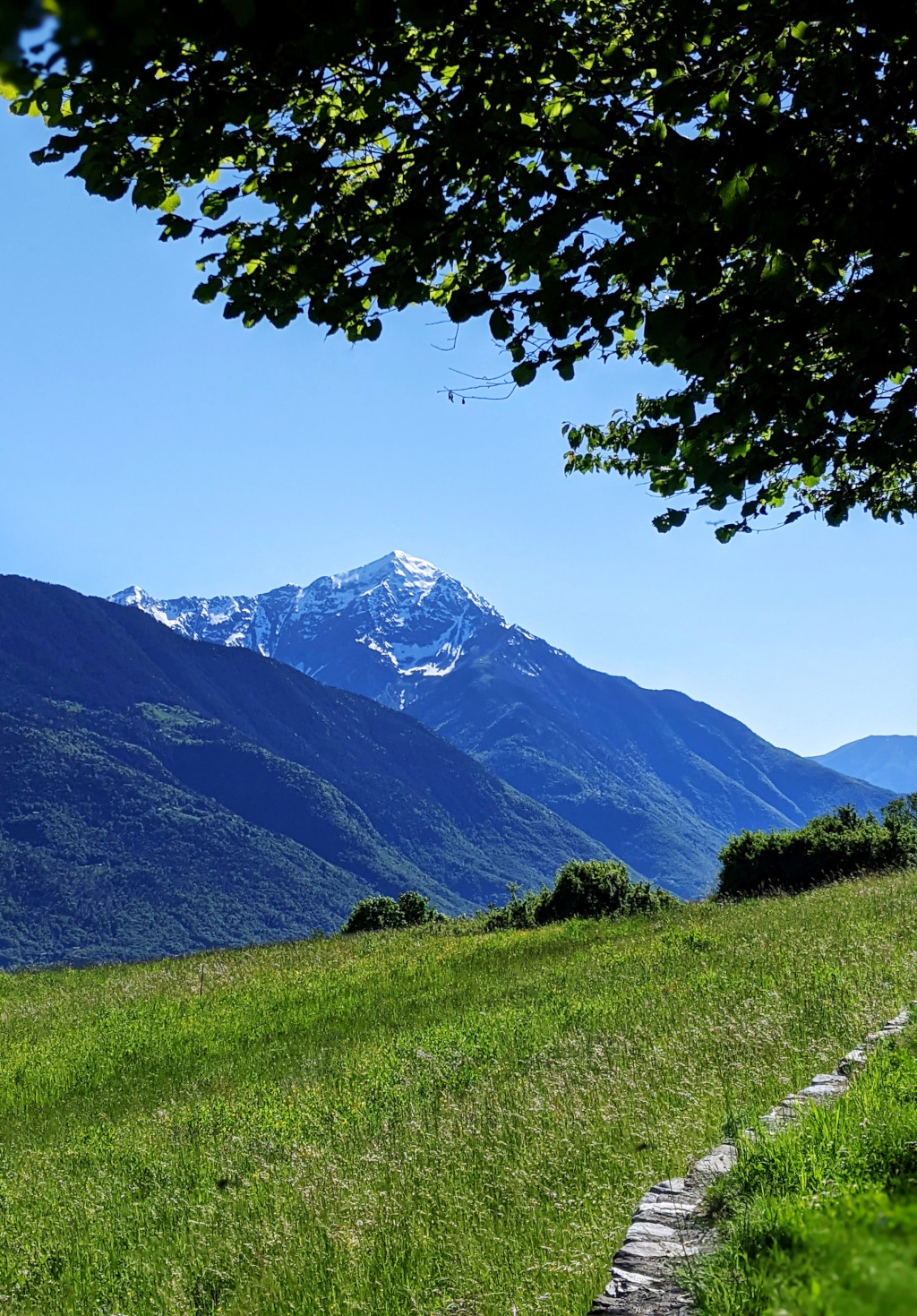 Un giorno, in primavera, in 8 fotografie.