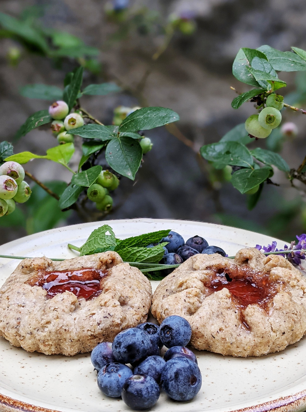 Crostatine vegane con marmellata, senza glutine.